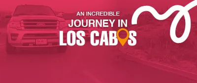 Fleet of TransVIP Suburban SUVs in a desert landscape of Los Cabos